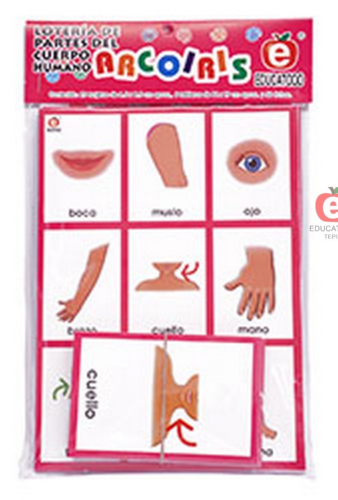 LOTERIA ARCOIRIS DE PARTES DEL CUERPO