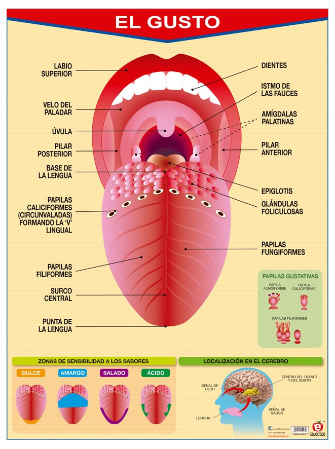 POSTER EL GUSTO C/B