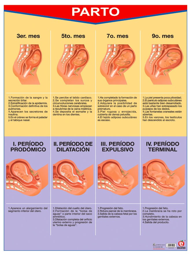 POSTER PARTO