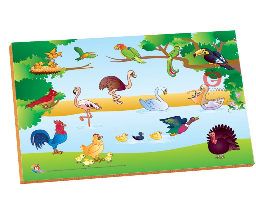 RESAQUE MAGNETICO LAS AVES