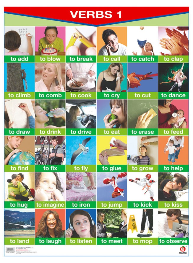 POSTER VERBS 1 / VERBS 2