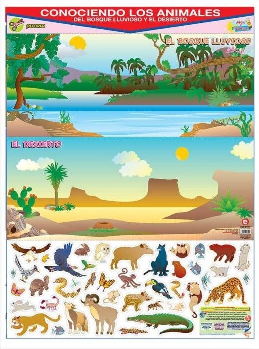 POSTER CONOC. ANIMALES AVES Y DEL MAR