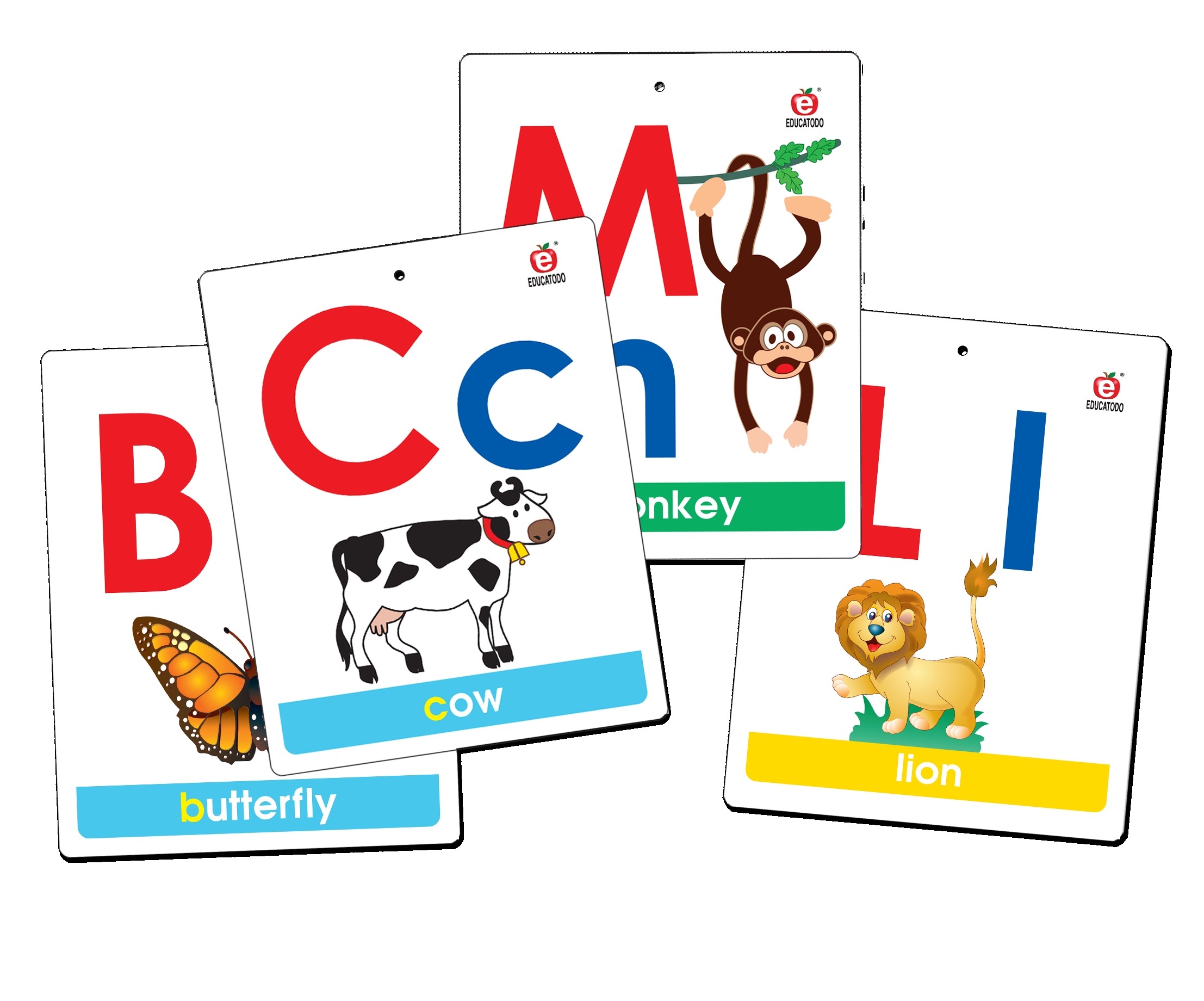 MEGA FLASH CARDS ALPHABET & ASSOCIATION