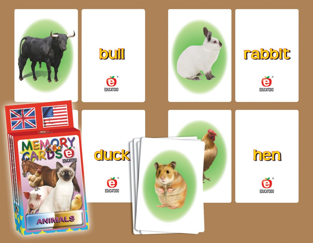 MEMORY CARDS DOMESTIC ANIMALS